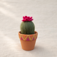 Magenta Cactus Blossom