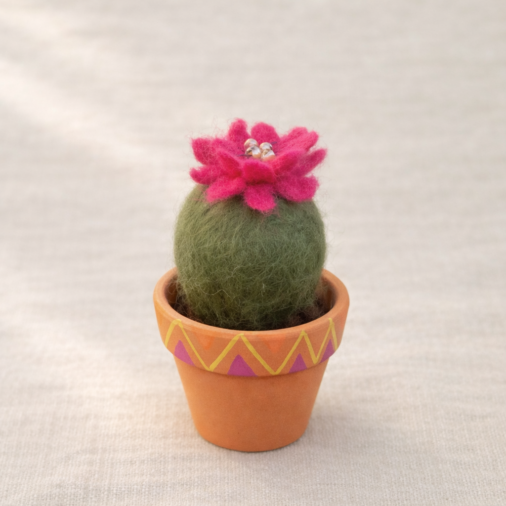 Magenta Cactus Blossom