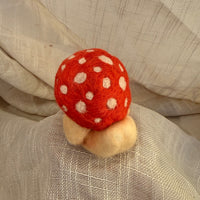 Happy Mushroom Duck