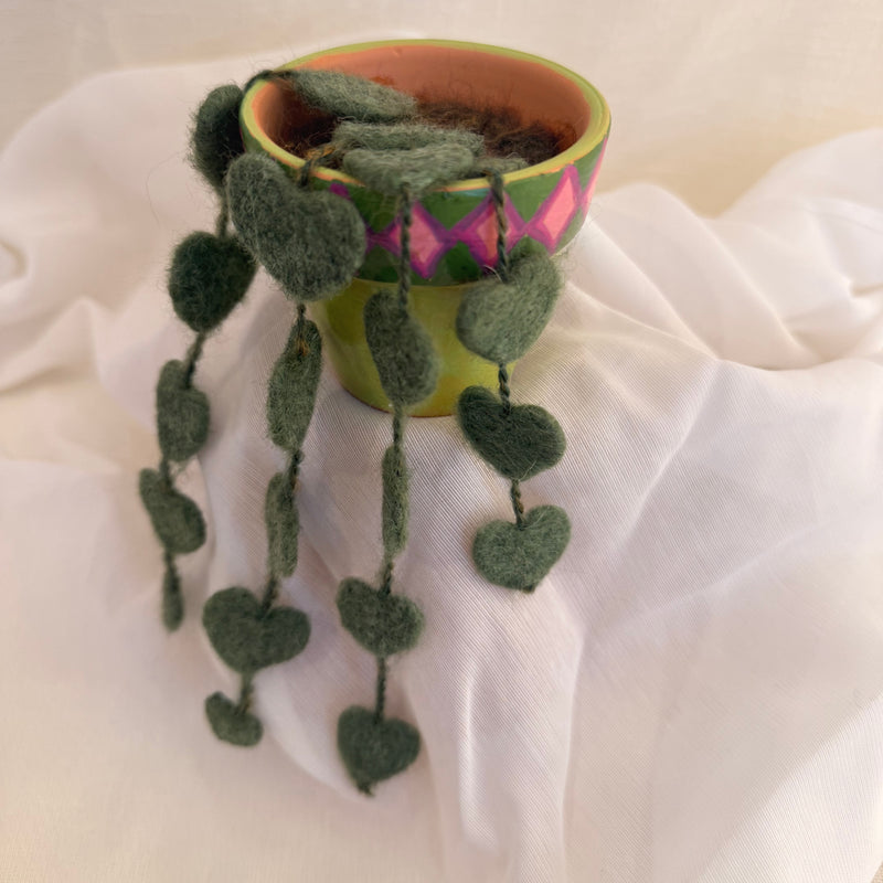String Of Hearts Plant