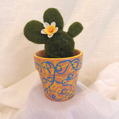 White Cactus Blossom
