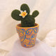 White Cactus Blossom