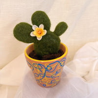 White Cactus Blossom