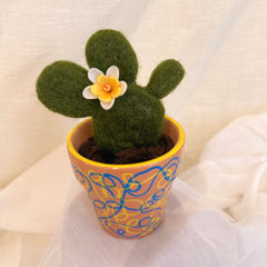 White Cactus Blossom