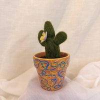 White Cactus Blossom