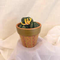 Yellow Flowering Cactus