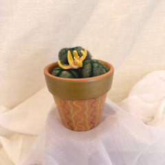 Yellow Flowering Cactus