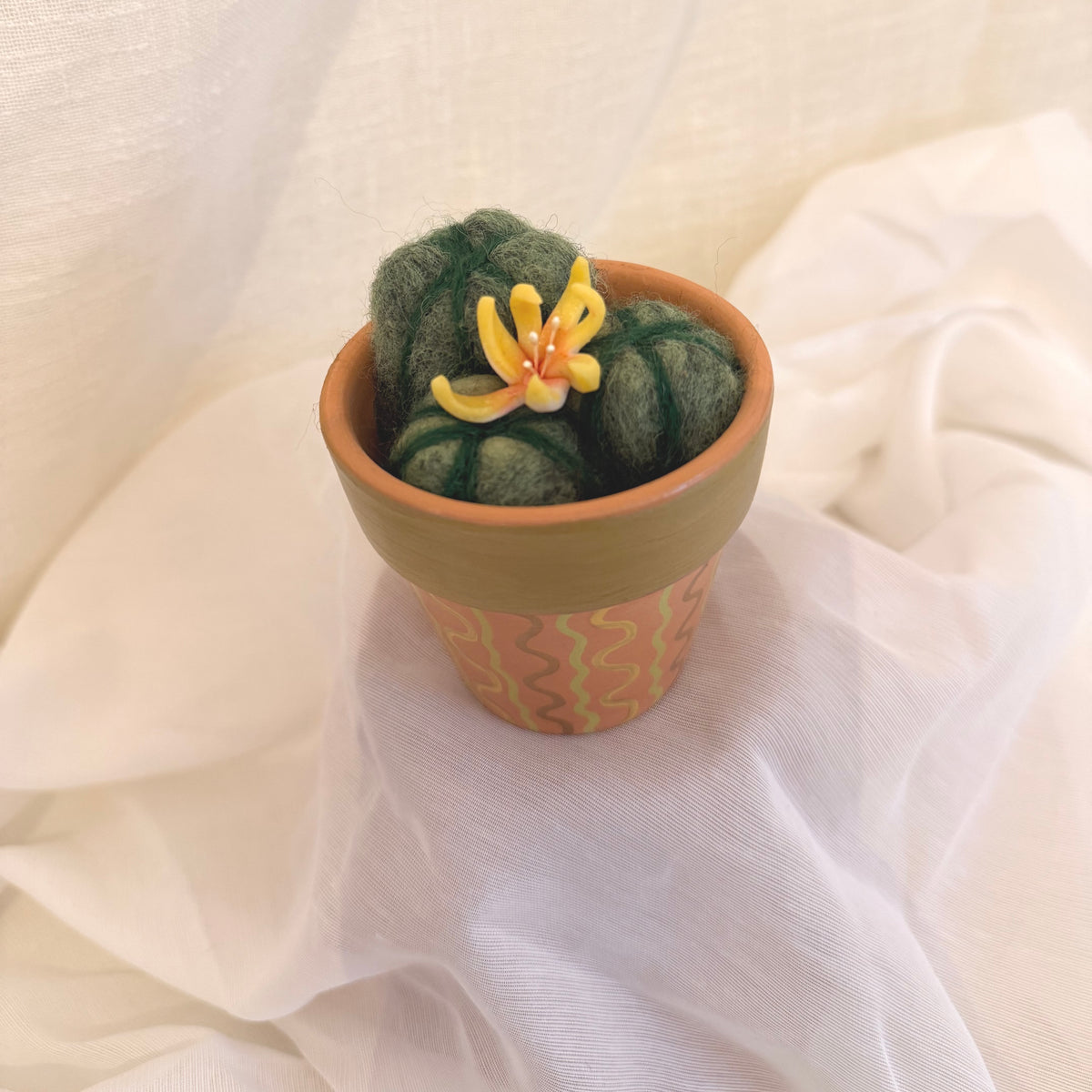 Yellow Flowering Cactus