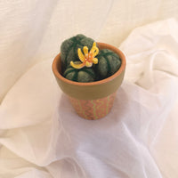 Yellow Flowering Cactus