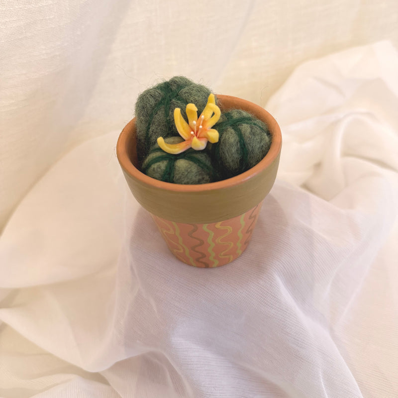 Yellow Flowering Cactus