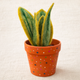 Snake Plant (Sansevieria) in Polka Dot Terracotta Pot