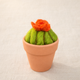 Cactus with Orange Flower