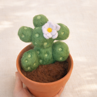 Needle felted white-bloom cactus in terracotta pot, detail view