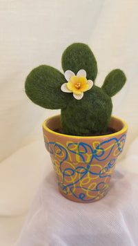 White Cactus Blossom