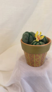 Yellow Flowering Cactus